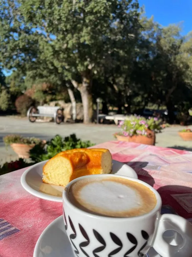 Agriturismo Santa Reparata Villa Budduso Farm stay